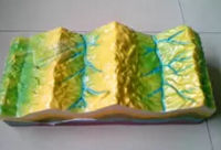 褶皺構造及其地貌演變模型